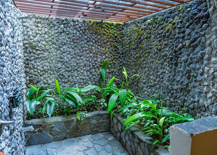 Lost Iguana Resort And Spa