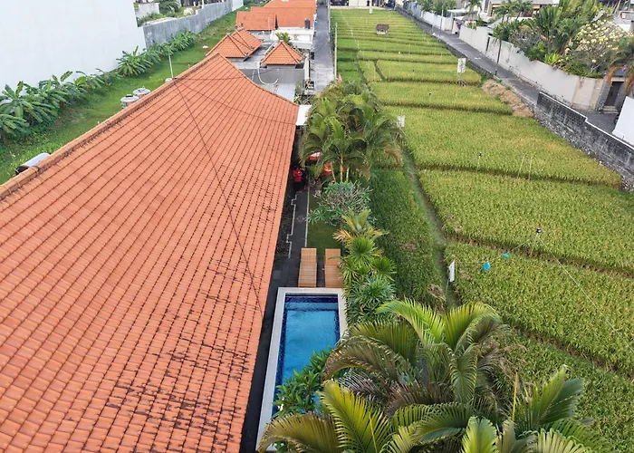 Ayu Guest House 2 Canggu