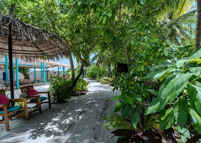 LVIS blancura Hotel