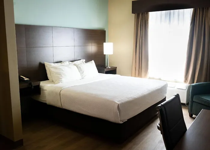 Best Western Plus Dartmouth Hotel & Suites