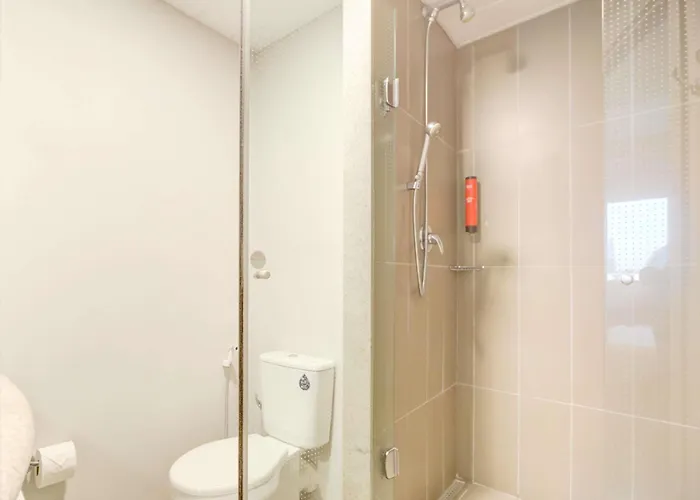Ibis Paranagua