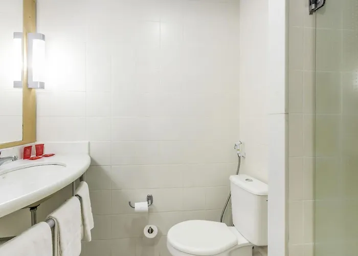 Ibis Barretos
