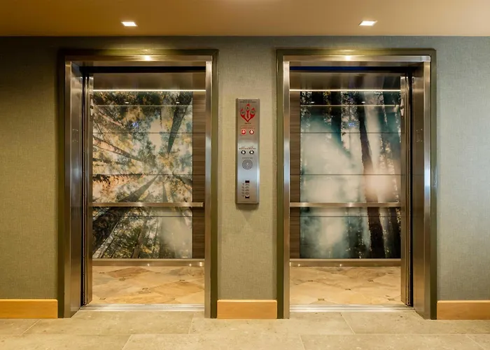 The Mindaro, Part Of Jdv By Hyatt