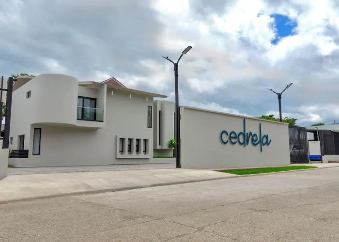 Cedrela
