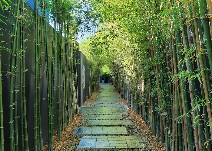 Villoft Zen Living Resort