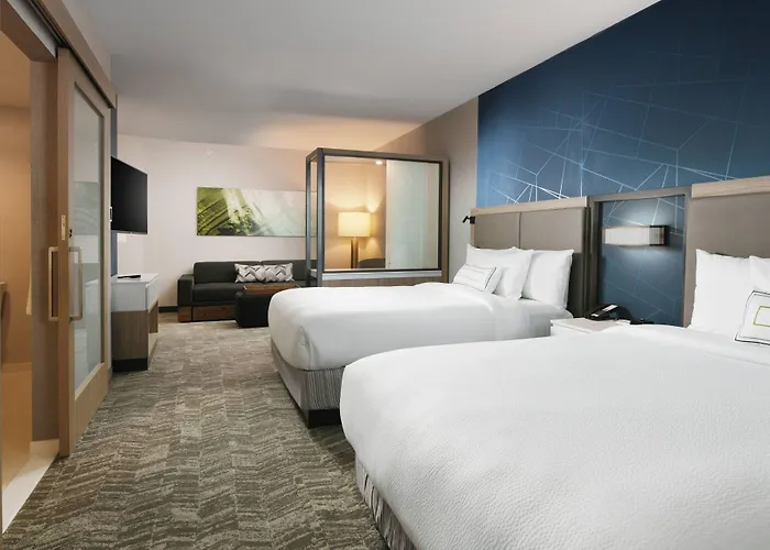 Springhill Suites Dallas Dfw Airport South/Centreport