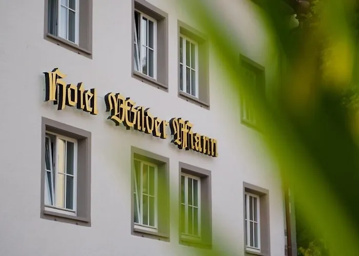 Hotel Wilder Mann