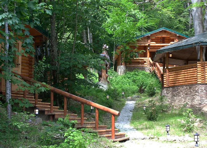 Robenstein Aktivhotel&SPA Zwiesel