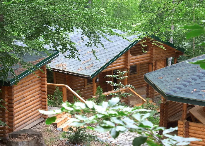Robenstein Aktivhotel&SPA Zwiesel