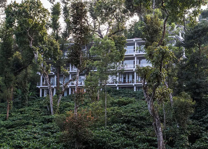 Itsy Hotels Jammabane Cottage, 5 Minutes To Mountain View Coffee Plantation
