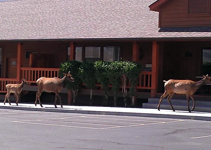 Yellowstone Village Inn&Suites
