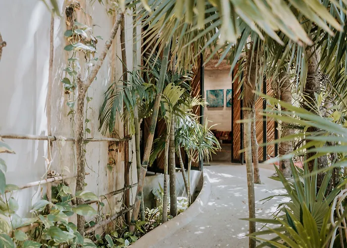 Orchid House Tulum Jungle Hotel