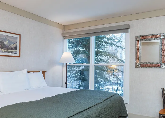 Mountainside Inn 219 By Alpine Lodging Telluride