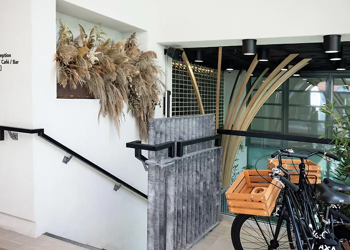 Wren Urban Nest