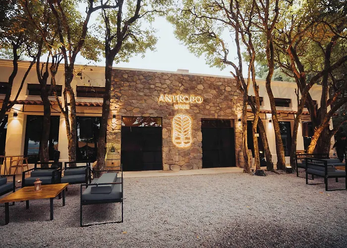 Hotel Altos de la Viña