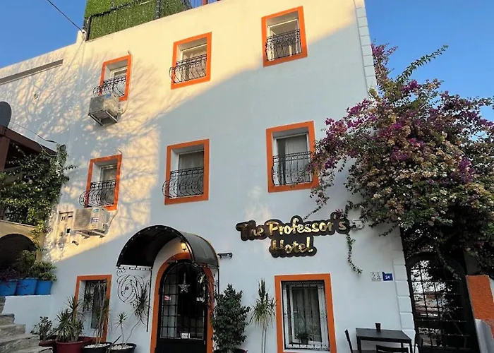 The Professor'S Hotel