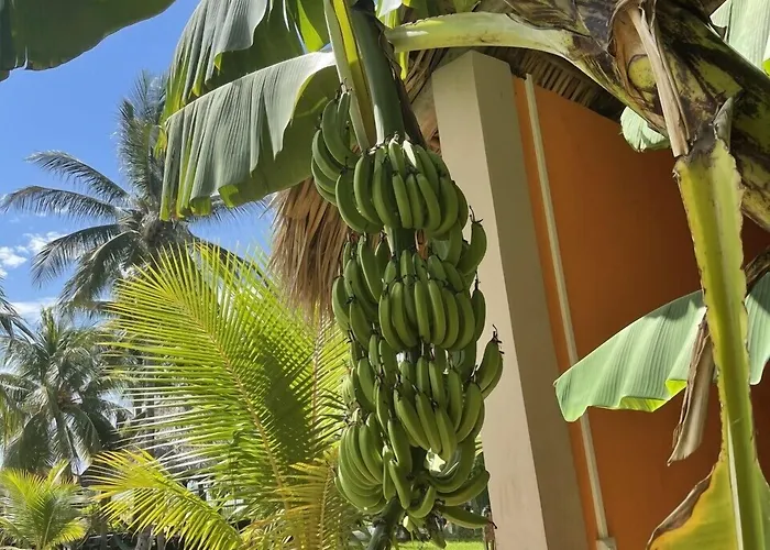Sambo Mambo Beach Hotel