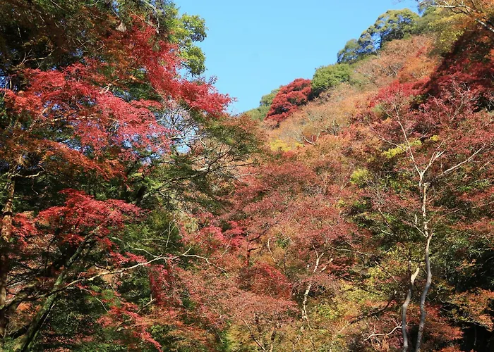 Miyajima Coral Hotel