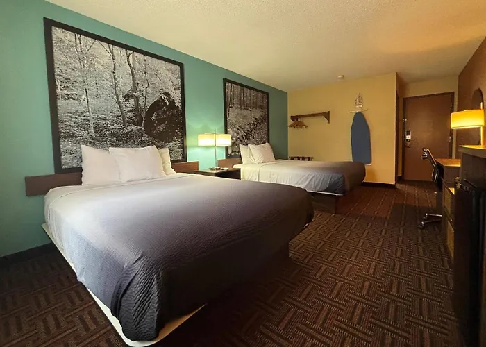 Super 8 By Wyndham Carbondale Motel