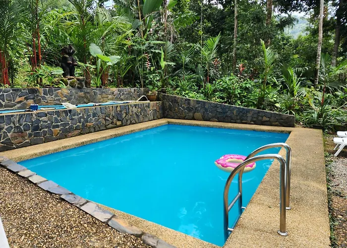 Khao Sok Las Orquideas Resort
