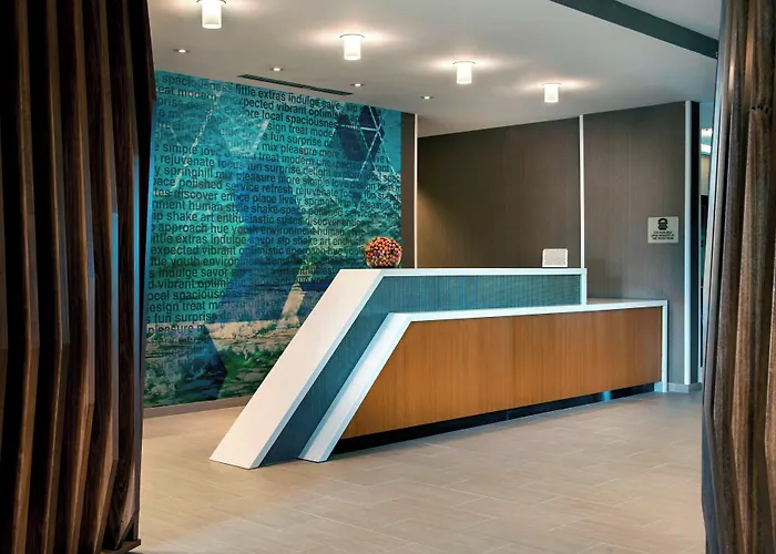 Springhill Suites By Marriott Tampa Suncoast Parkway