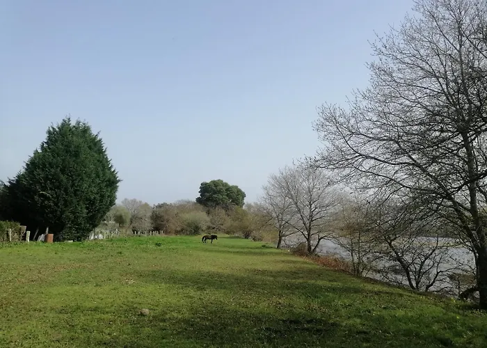 Royalheronhouse Viana do Castelo