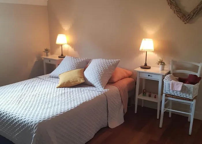 Bed and breakfast Au Petit Nid De Sanguinet