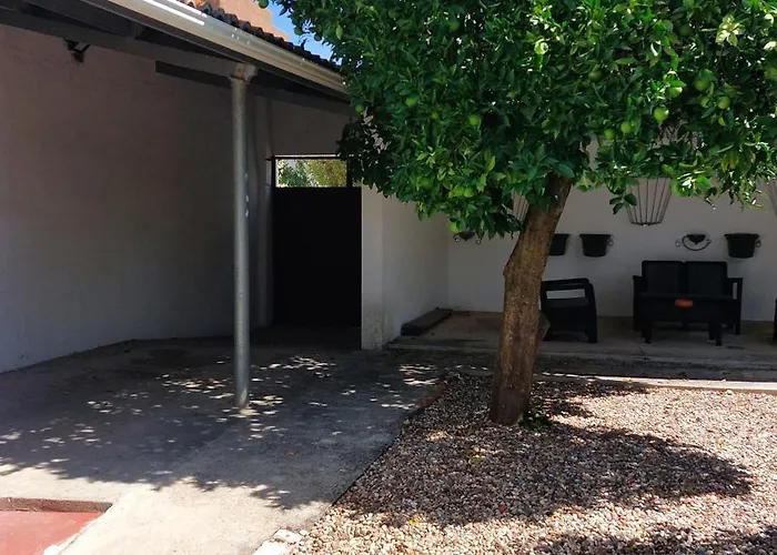 Casa Do Tio Ze Hotel Golegã