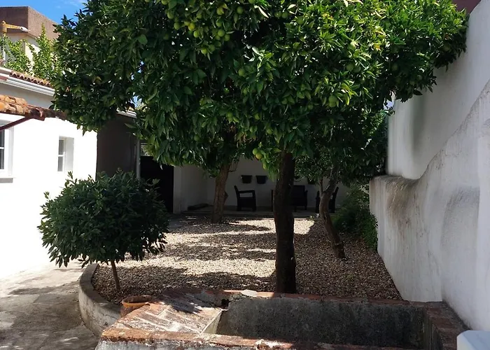 Casa Do Tio Ze Hotel Golegã