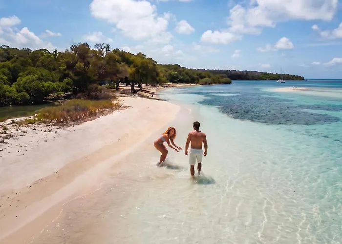 Hesperia Morrocoy