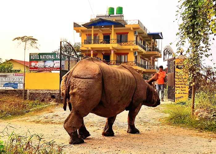 Hotel National Park Sauraha- Homely Stay And Peaceful Location And Ethical Jungle Safari Arrangements