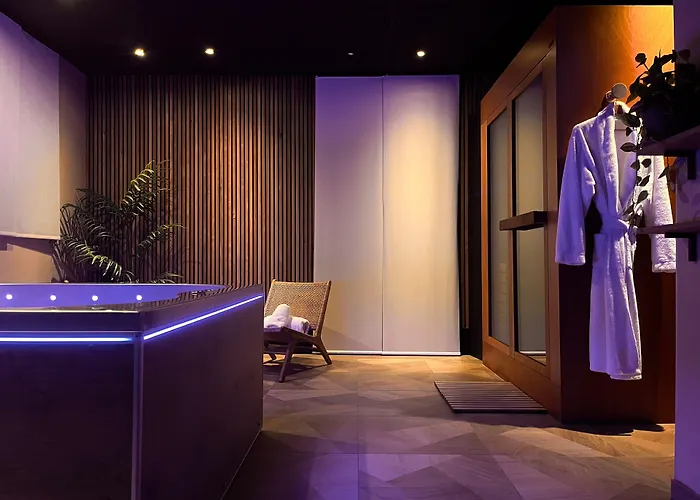 HOTEL&SPA Le Renard Centre