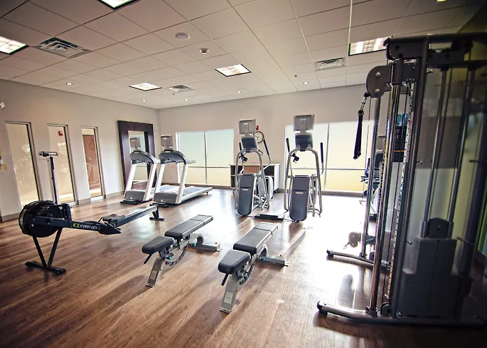 Holiday Inn Express & Suites - Mcallen - Medical Center Area By Ihg