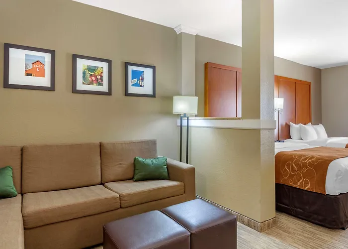Comfort Suites - University
