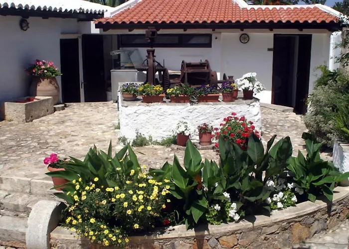 Oasis Guesthouse