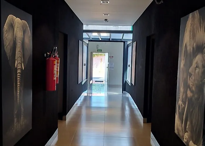 Hotel Barril