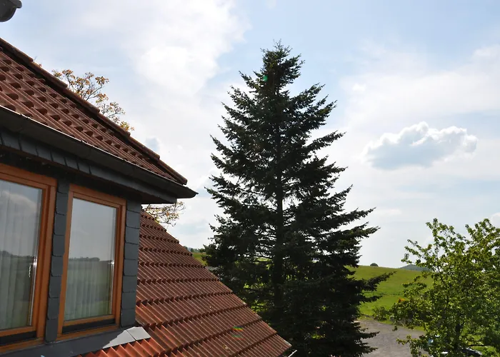 Rhön-Hotel Sonnenhof - Restaurant&Café
