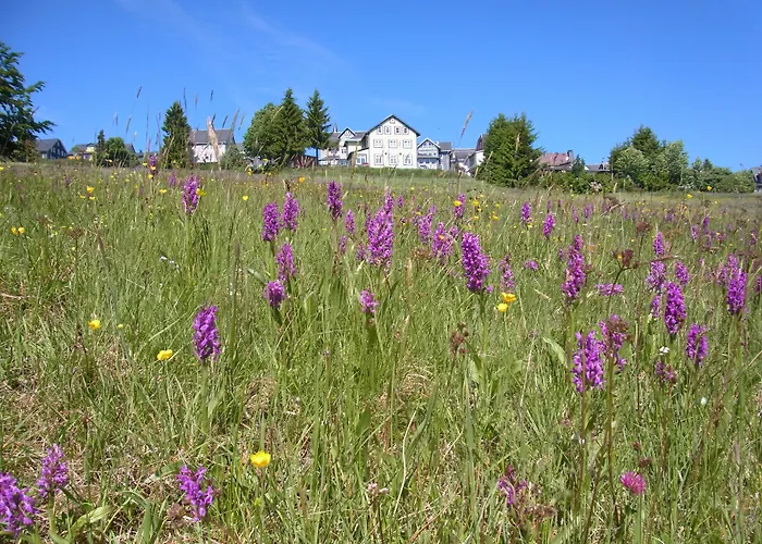 Hotel Schoene Aussicht