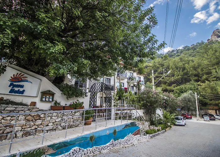 Eden Pyara Hotel Turunc