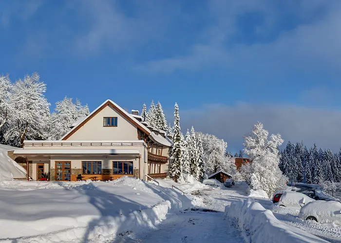 Bödele Alpenhotel