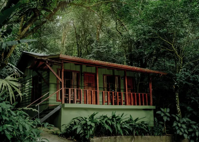 Jaguarundi Lodge - Monteverde