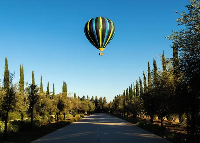 Carter Estate Winery And Resort