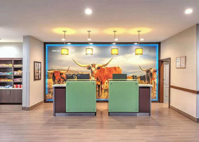 La Quinta By Wyndham Tyler - University Area