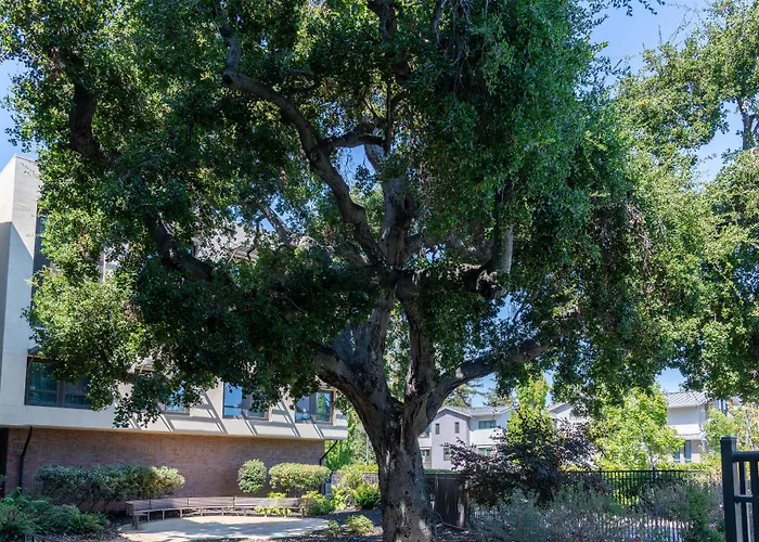 Homewood Suites By Hilton Palo Alto