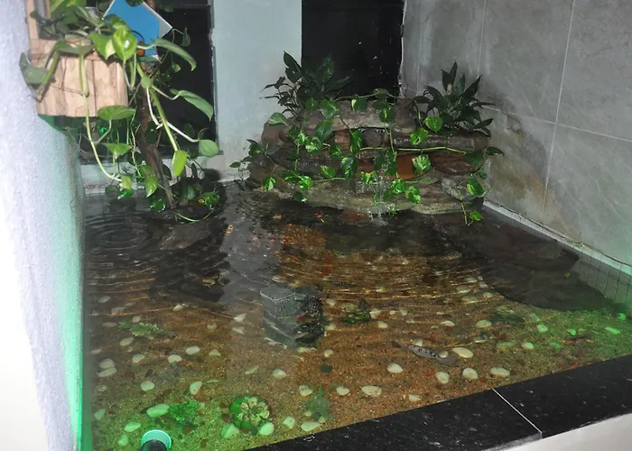Hotel Sempre Bahia