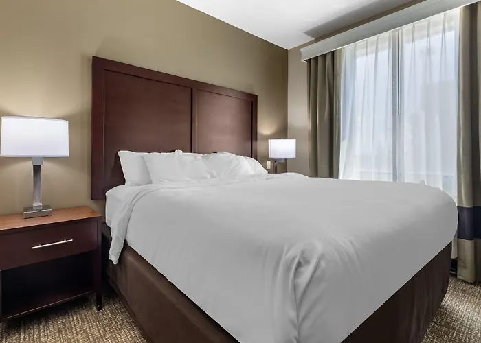 Comfort Inn & Suites Fort Worth West I-30 Nas Jrb
