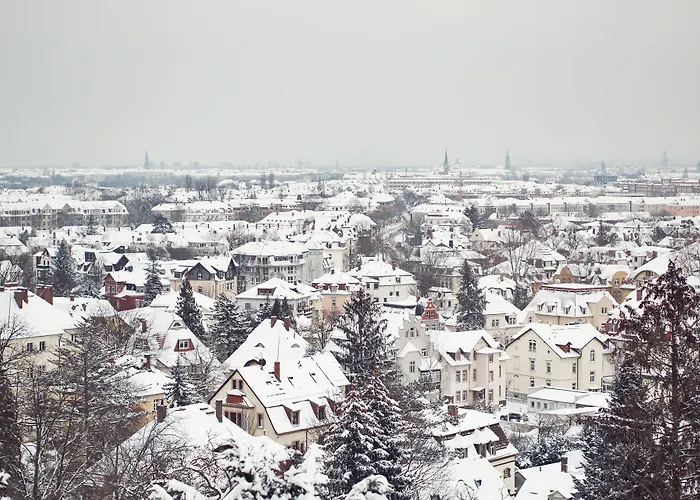 Bergwirtschaft Wilder Mann Hotel und Restaurant Dresden