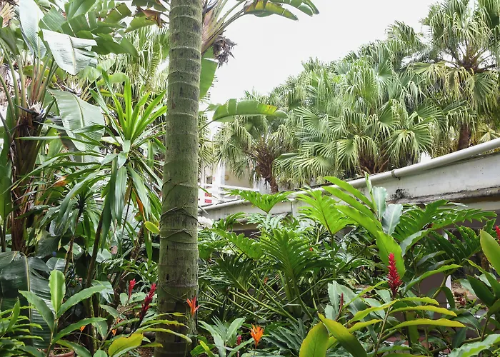 Delphin Beach Hotel Guarujá