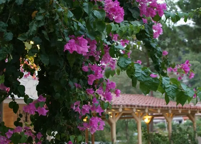 Petunya Konak Boutique Hotel