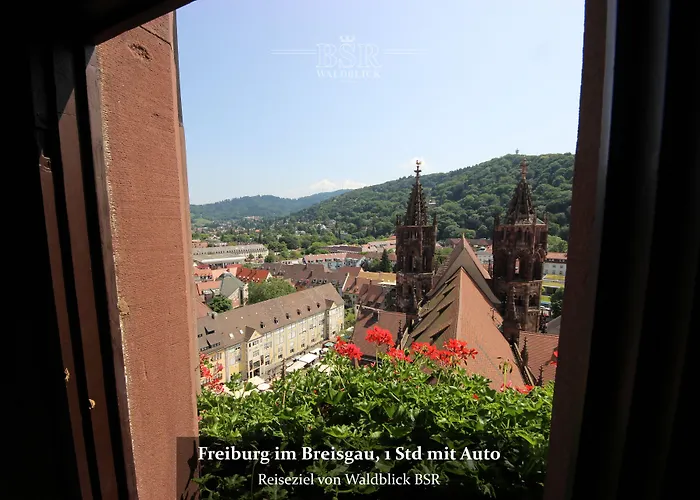 Hotel Waldblick Donaueschingen